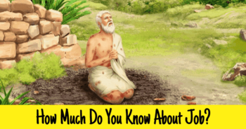 how-much-do-you-know-about-job
