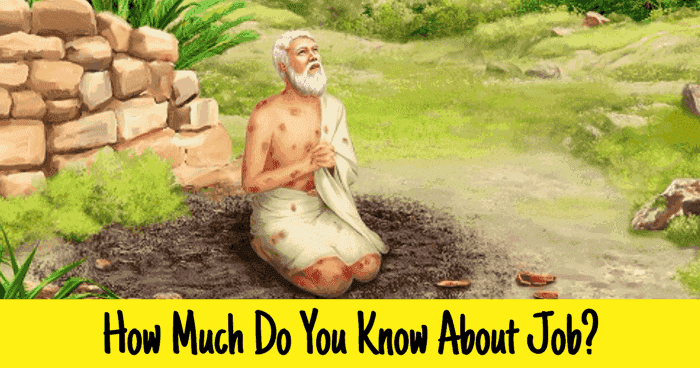 how-much-do-you-know-about-job